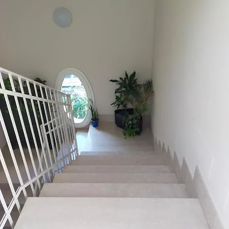 Braschi 8 * Τζόλα Πρεντόζα