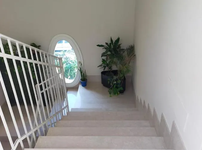 Braschi 8 * Zola Predosa